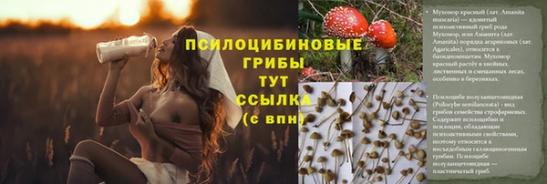 apvp Баксан